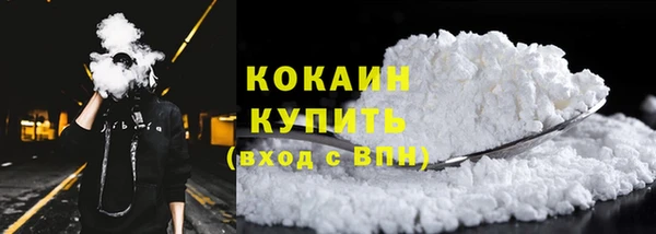 мдпв Майский