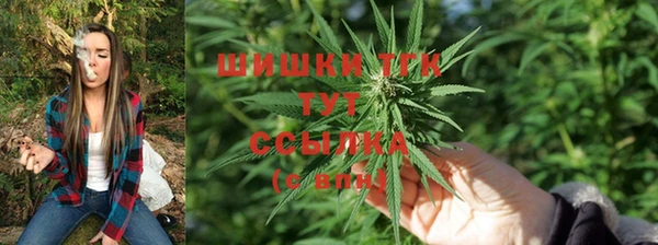 мдпв Майский