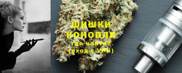 мдпв Майский